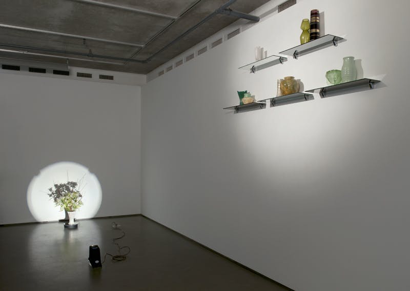 In a darkened gallery space, flowers are arranged in a white vase illuminated by a spotlight in front of a white wall. Nine, variously-shaped ceramic vases sit on floating shelves mounted to another wall.