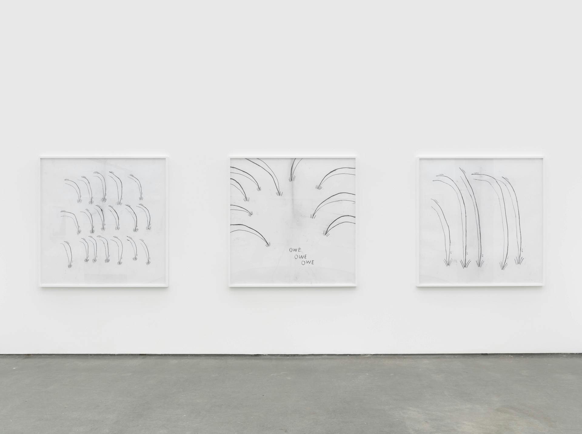 Three line drawings by Christine Sun Kim on a white wall, each featuring curved descending lines. One drawing features the words "owe owe owe."