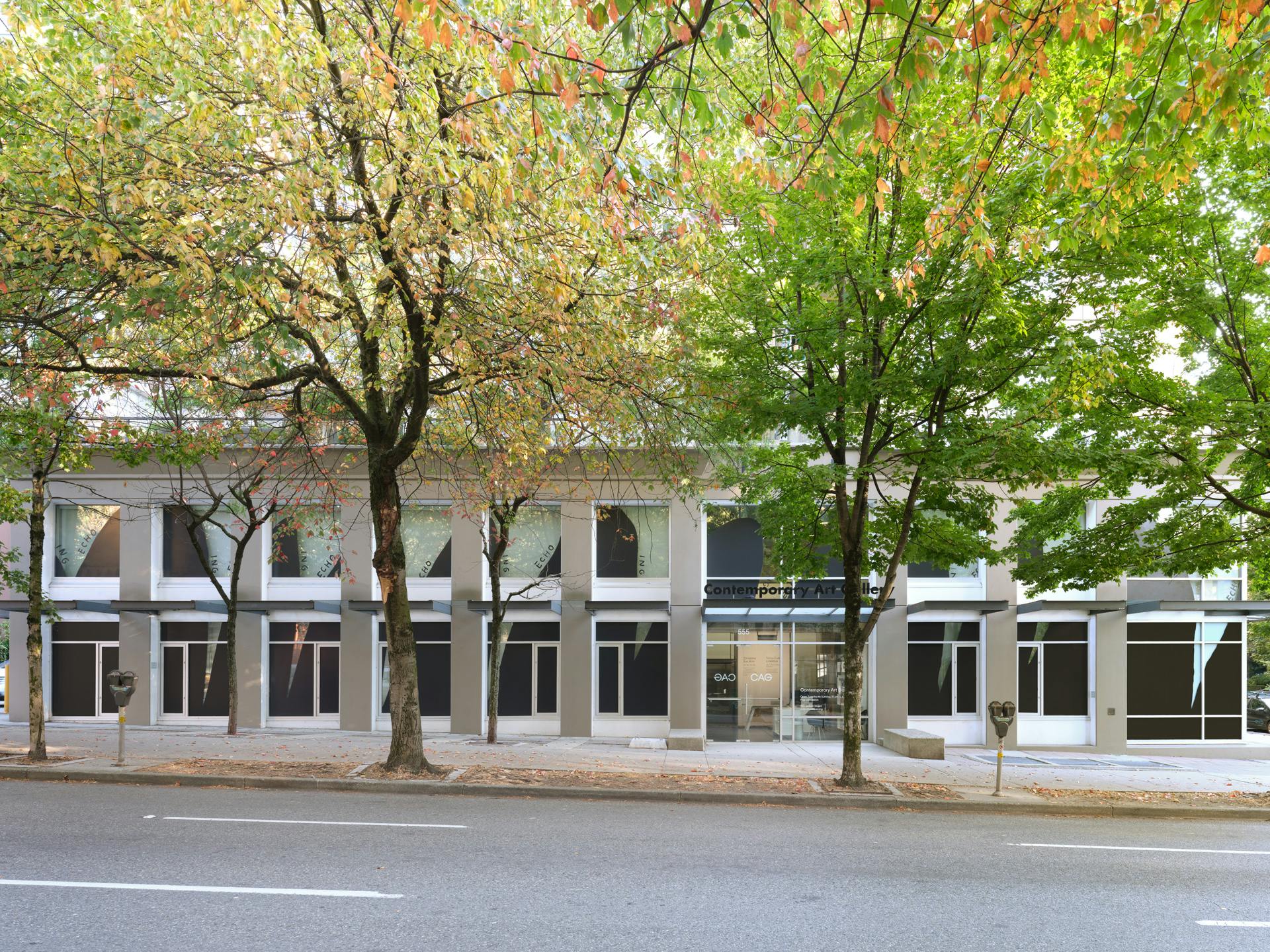 Image of CAG behind two trees, with black and white drawings by Christine Sun Kim across the gallery's windows.
